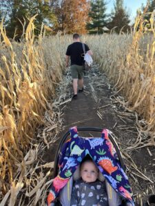 Corn Maze #4