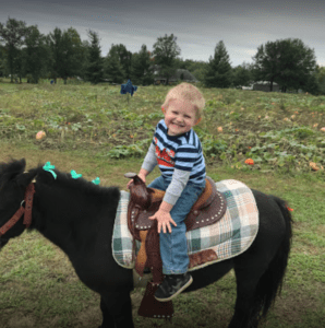 Happy Pony Rider