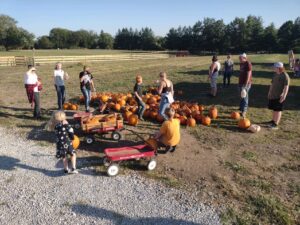 Pumpkin Picking